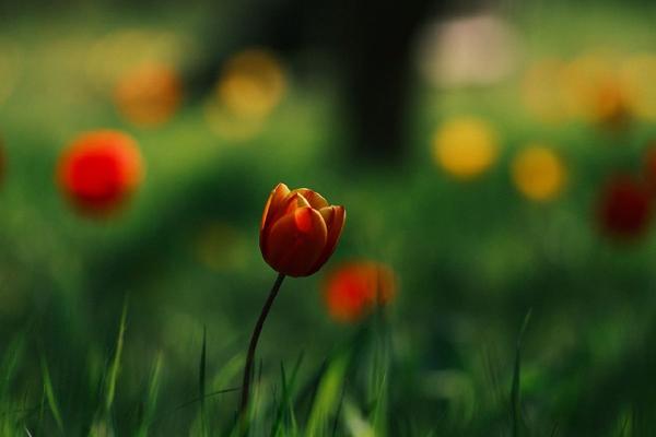 Estrogeni e TOS, come superare la paura degli ormoni